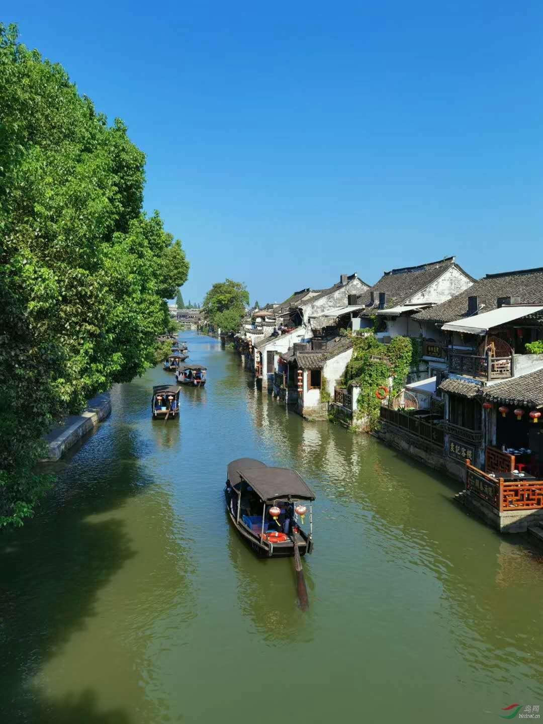 三小只僵尸的游戏时间2